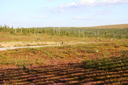 Jääjärvi 11