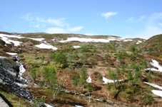 Limingen Fjäll