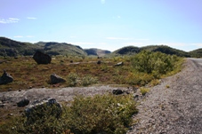 Mot Ryssland