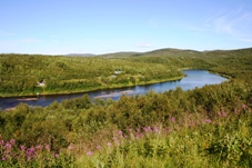 Borderriver