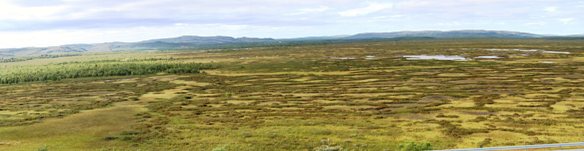 Ferdesmyra
