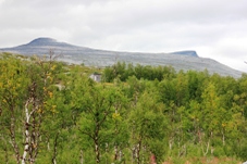 Saltfjellet
